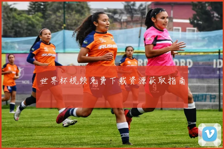 世界杯视频免费下载资源获取指南
