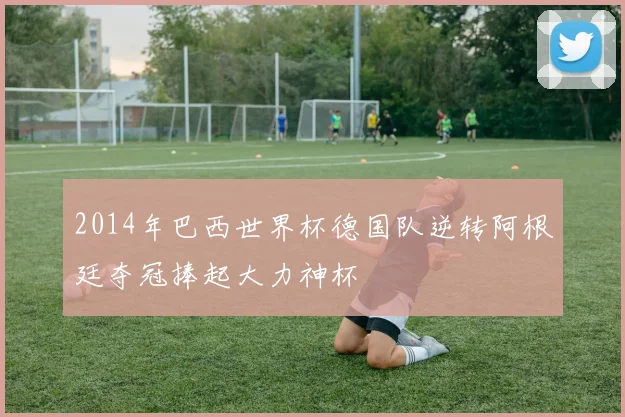 2014年巴西世界杯德国队逆转阿根廷夺冠捧起大力神杯