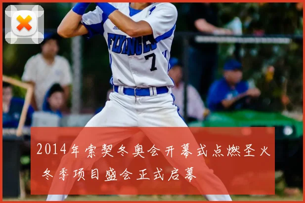 2014年索契冬奥会开幕式点燃圣火 冬季项目盛会正式启幕